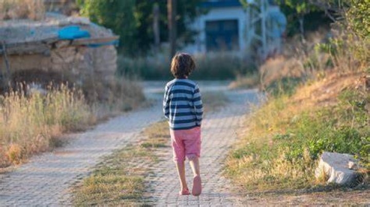 3YearOld Boy Wandering Alone In Bear And Mountain LionFilled Woods