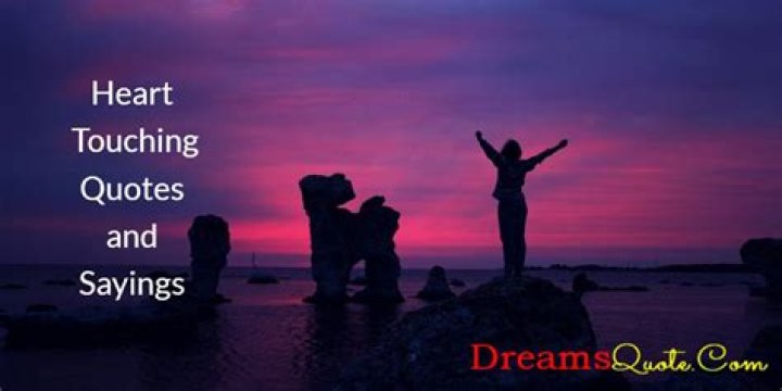80 Heart Touching Quotes and Sayings Dreams Quote