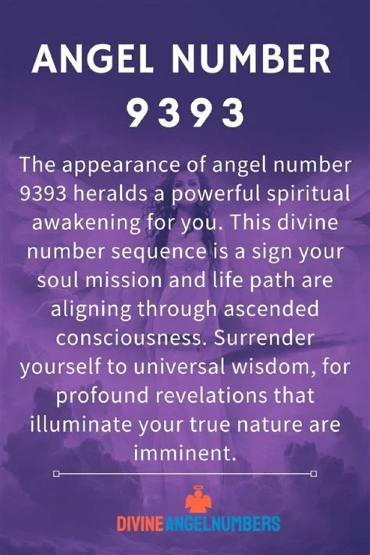 angel number 9393
