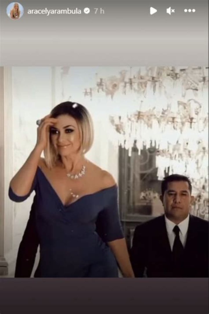 Aracely Arámbula Afirman que Ricky Martín se metió en la relación