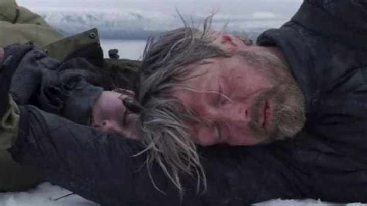 Arctic movie the ending explained by director Joe Penna Auralcrave