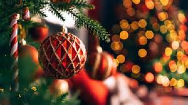 Are Christmas Trees Pagan in Origin? Are Christmas Trees Pagan in Origin?