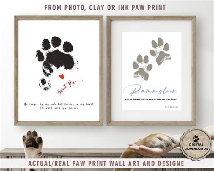 Because 4 Paws Custom Ink Fundraising
