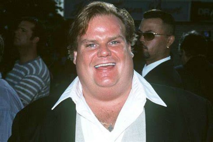 Chris Farley's Wife: A Testament To Love And Resilience