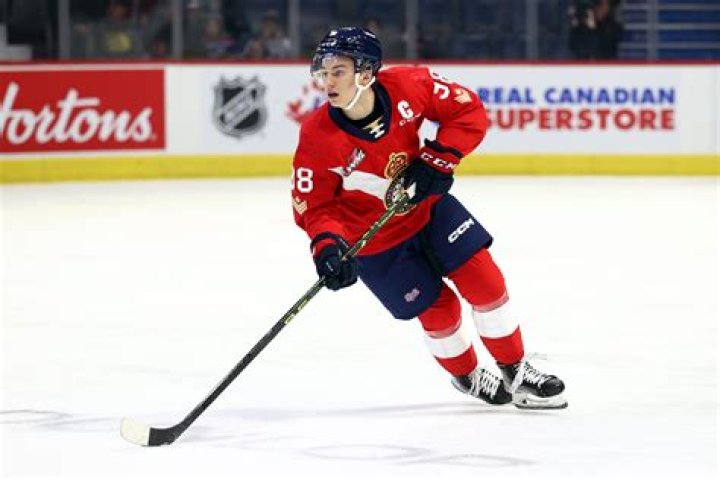 Connor Bedard Net Worth 2023 Stats Age Height Gf Jersey Car