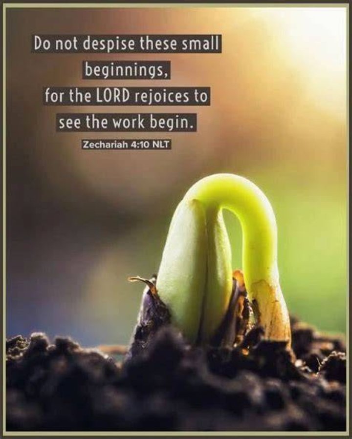Do not despise these small beginnings. Zechariah 410 Verse Quotes