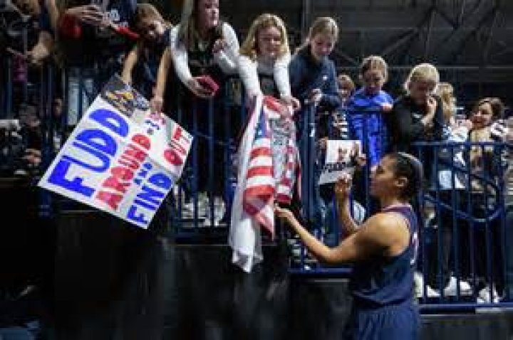 Fan Reception, Carmelo-maika