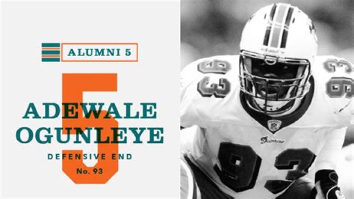 Former NFL Adewale Ogunleye Marries Celebrity Dentist Dr. Amira Baker