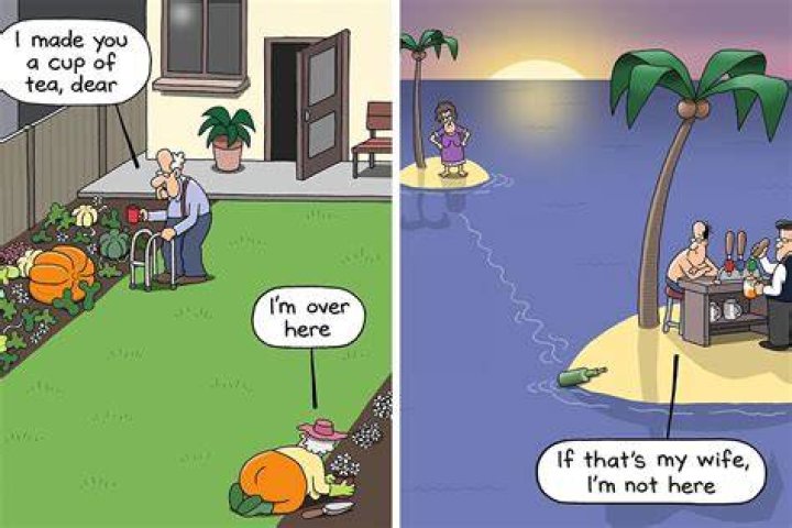 Funny Cartoons, Funny Comics, Clean Puns, Clean Memes, Argyle Sweater