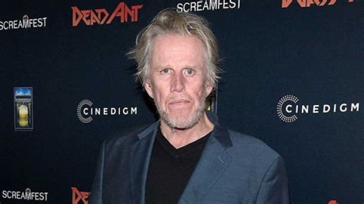 Gary Busey Says He Died During Brain Surgery and Then Came Back