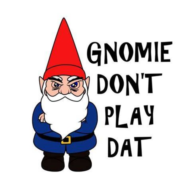 Gnomie Don't Play That Funny Gnome Collectors Pun Gnome Dont Play