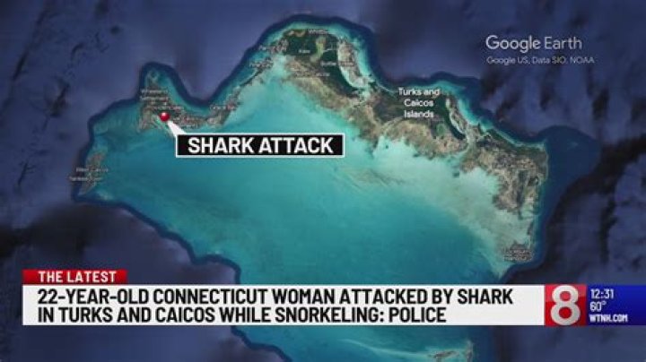 GoProShark Attack Turks and Caicos YouTube