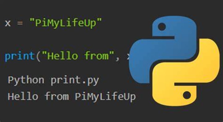 How To Print In Python Without Newline Using End Youtube Riset
