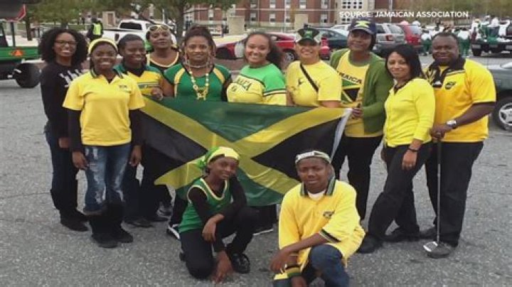 Jamaicans React To J1.5 Million 'Sky Vew' Ticket Price For Chris Brown