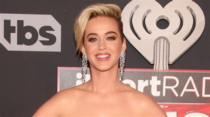 Katy Perry Walked The Red Carpet With Quinoa In Her Teeth