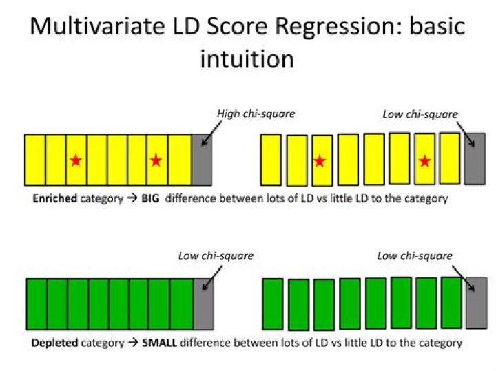 LD Score correlations (rg) with email contact and MHQ data