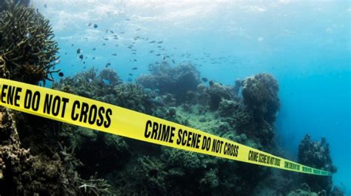 Lead diver and investigator talks about finding Jed Hall&rsquo;s vehicle in