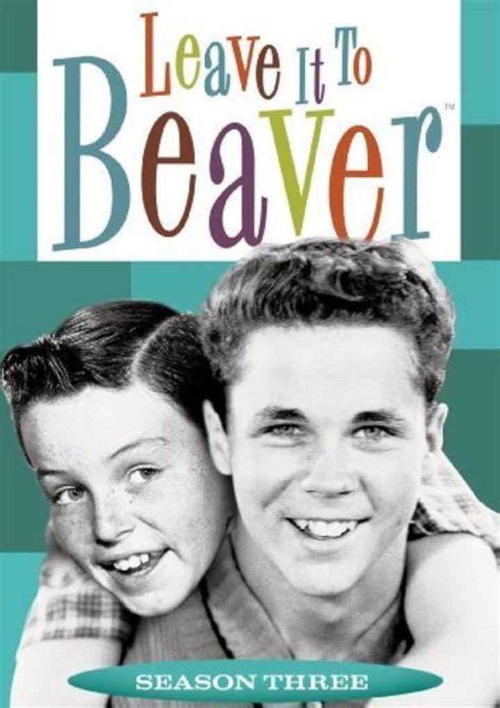 Leave it to beaver television show ggberlinda