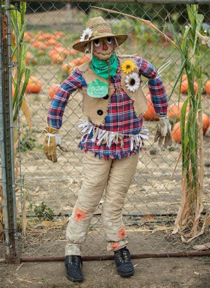 Lee & Amanda Scarecrow and Mrs. King Photo (21869268) Fanpop