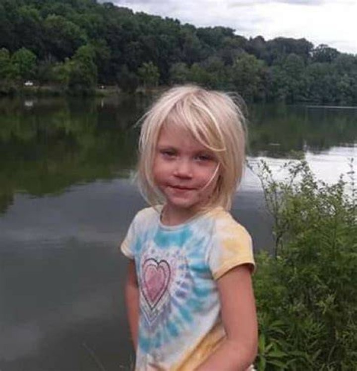 Major Summer Wells update after missing Tennessee girl's father shares