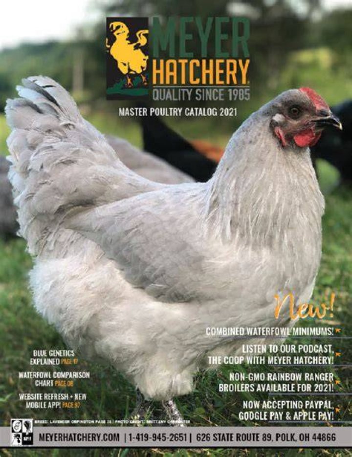 Meyer Hatchery Master Poultry Catalog Raising farm animals, Raising