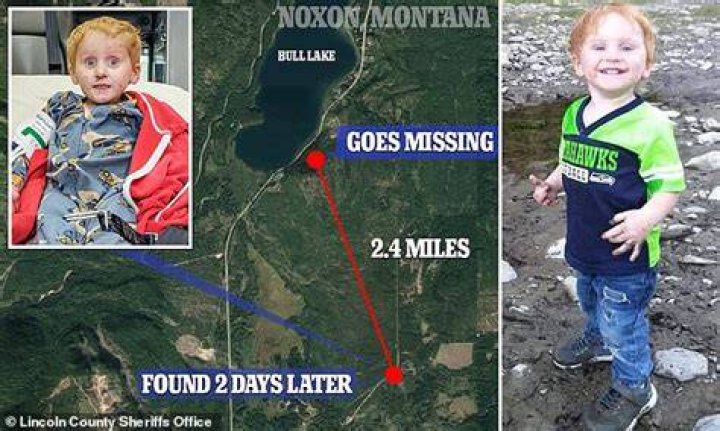 Missing Montana 3yearold boy Ryker Webb found, survived in woods for