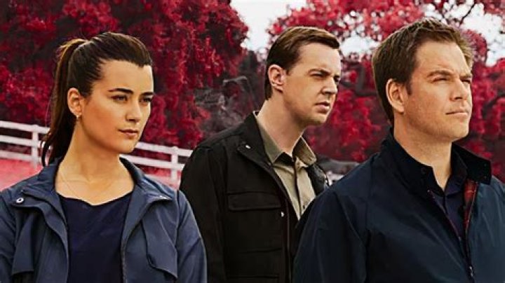 Mr. & Mrs. McGee Ncis, Ncis characters, Ncis cast