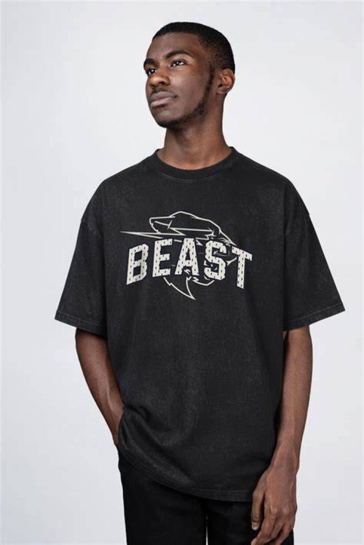 Mrbeast Arrested Tee Shirt Teechipus