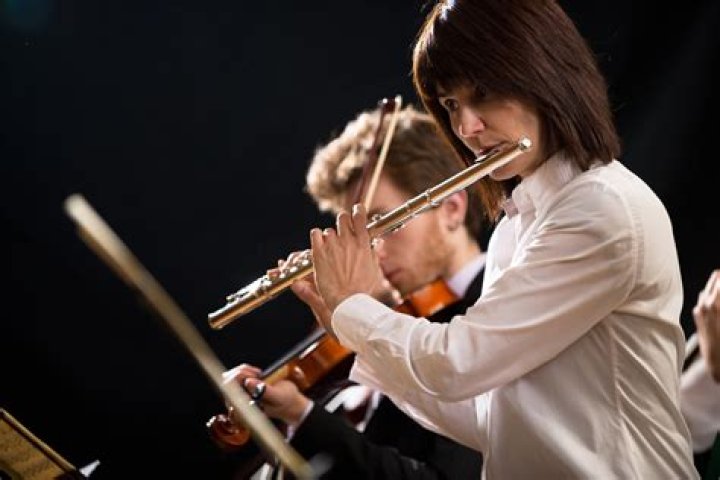 Musician