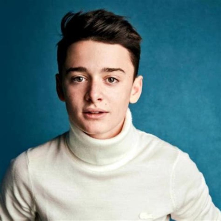 Noah Schnapp Wiki, Age, Height, Girlfriend, Ethnicity, Movies, TV
