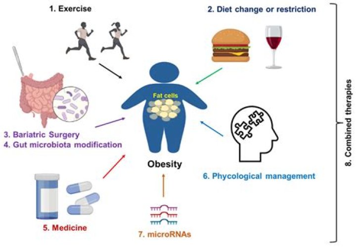 Obesity, Carmelo-maika