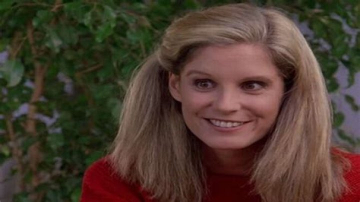 P. J. Soles Net Worth, Height, Age, Affair, Career, and More