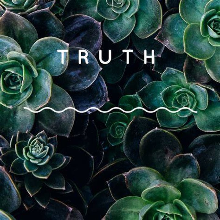 Pin on Truth
