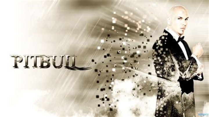 Pitbull Rapper Wallpapers Wallpaper Cave