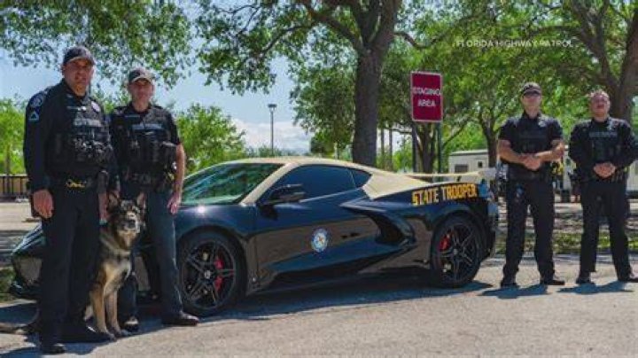 Police Seize Google Drive Dea OnlyFans, Find 76 Porn Content Including