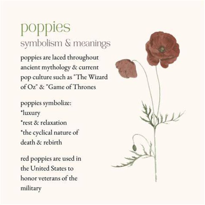 Poppy symbolism