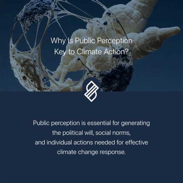 Public Perception, Carmelo-maika