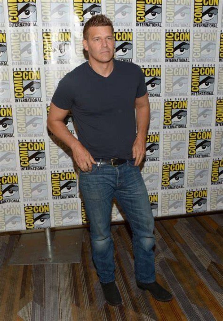 Steve Howey Age, Height, Biography, Wife, Children & Family
