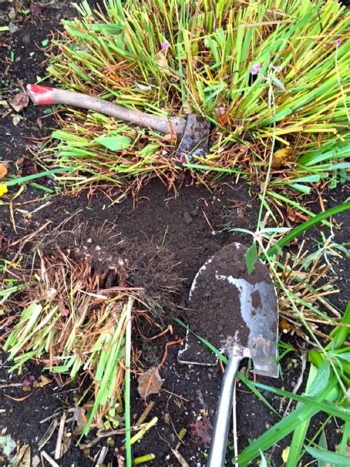 Take an Ax to It Seattle Weekly