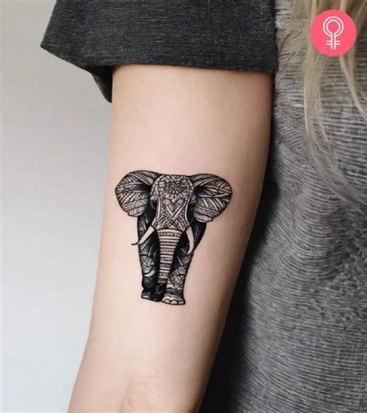 Tattoos by UGene Elephant tattoo design, Realistic elephant tattoo