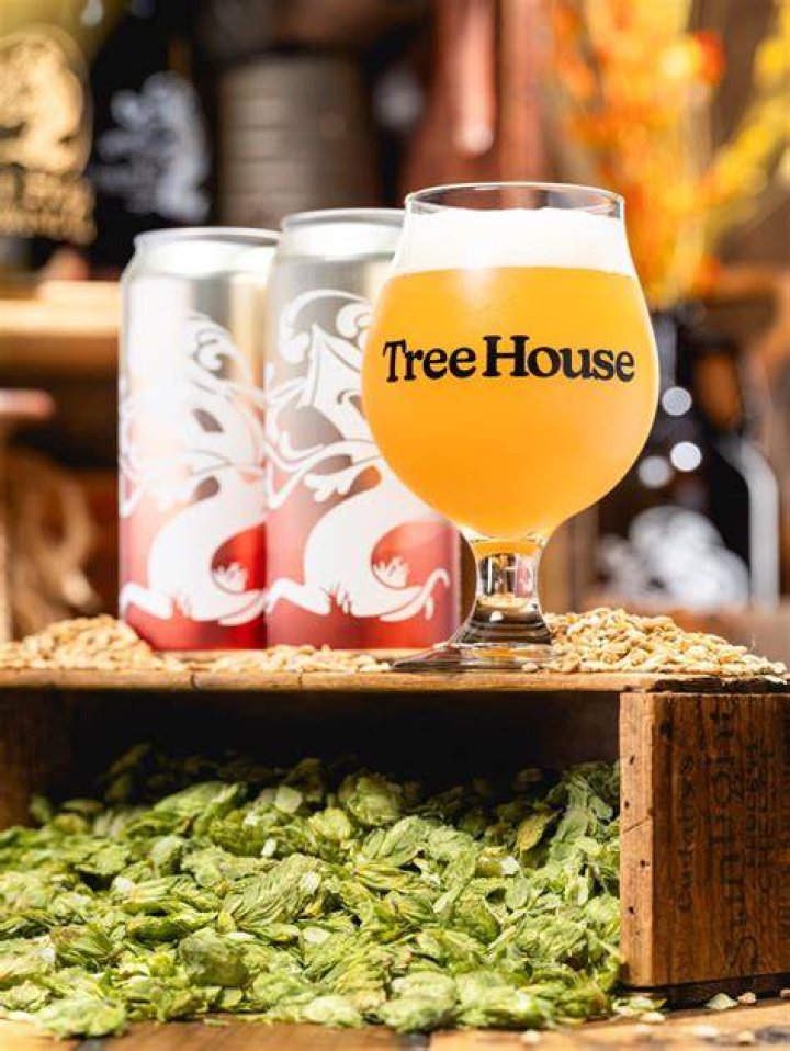 Tree House Brewing Is Hosting a Boston Beer Garden This Summer