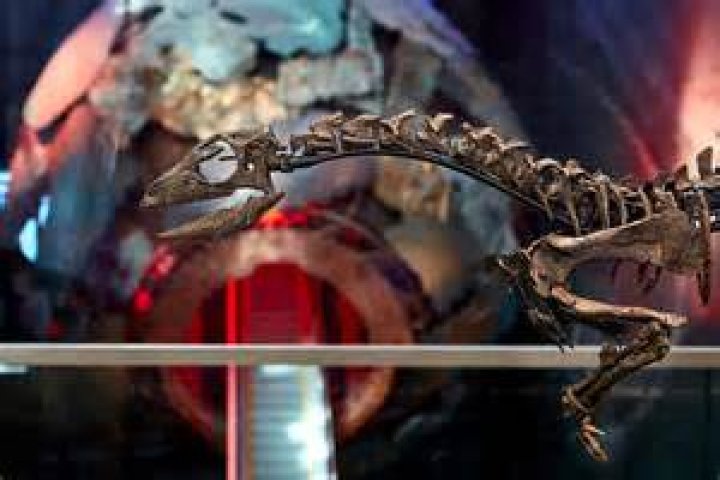 Unlocking The Enigma: Discoveries And Insights On Athie Livas