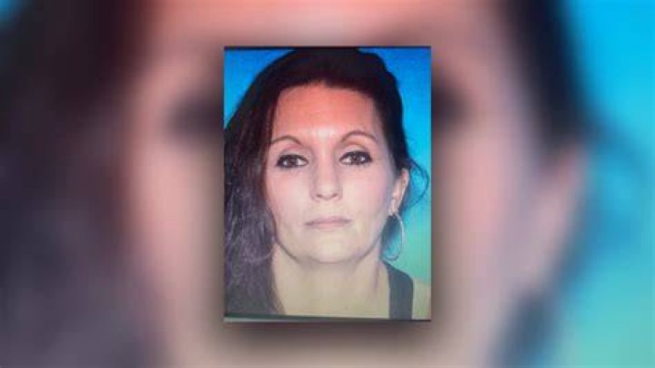 Virginia Woman Missing Update Who Is Lauren Cook?