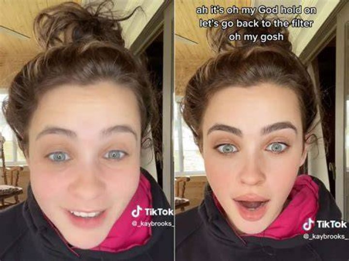 Watch this TikTok before you go grocery shopping for Christmas like