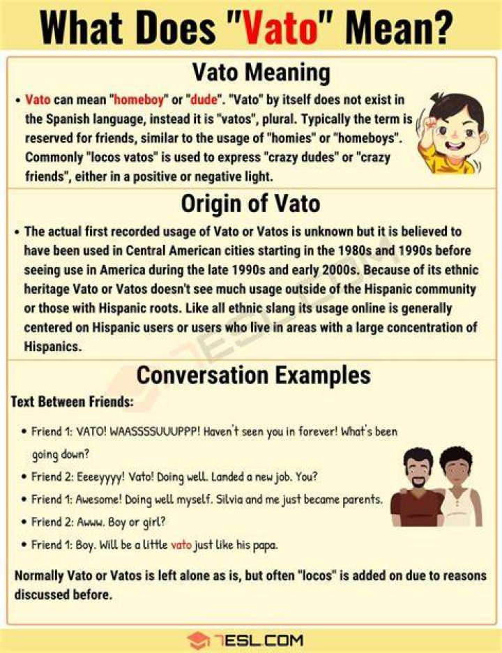 What does vato mean in Spanish Spanish to Go