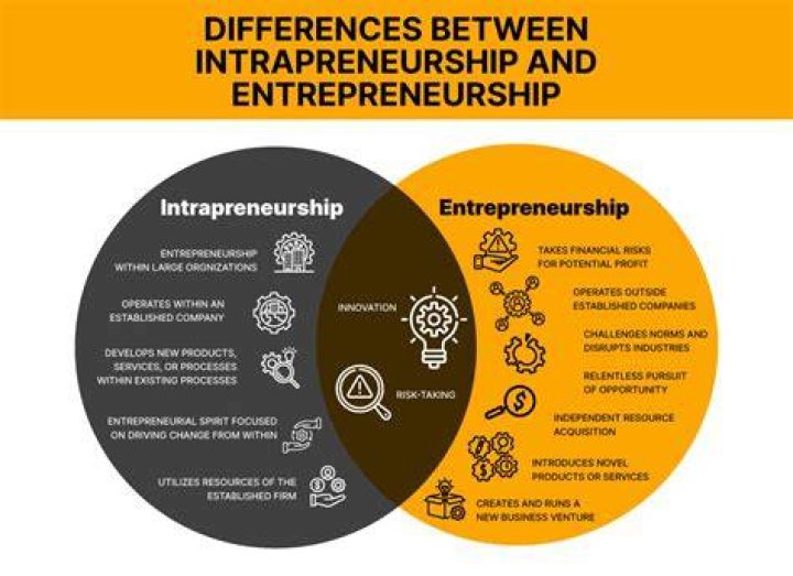 What&rsquo;s the difference between entrepreneurship and intrapreneurship?