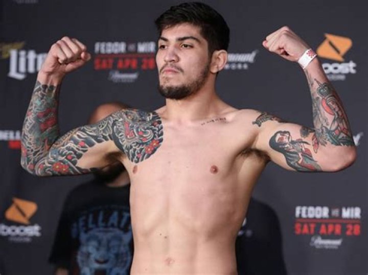 Who Is Dillon Danis's Mom? All About the Fighter's Family