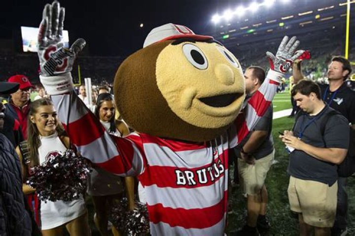 Why is the mascot a Bulldog and who is Uga?