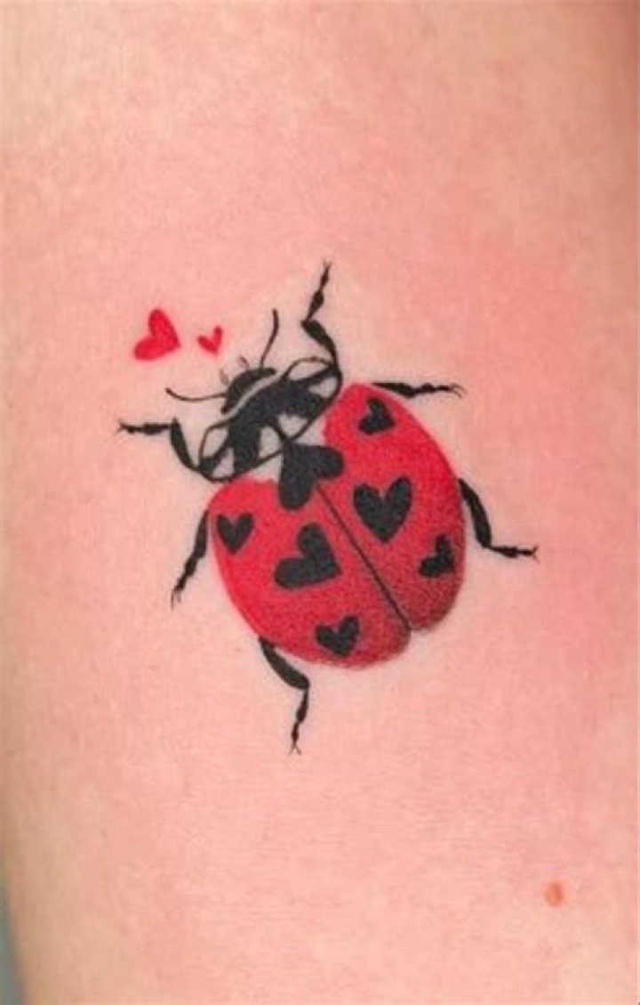 Wonderful small colorful lovebug tattoo on finger