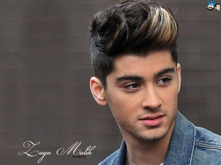 Zayn Malik twitter, True Fun Facts About Him Before And After The Fame